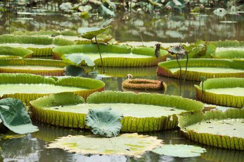 vn_september_15_00042